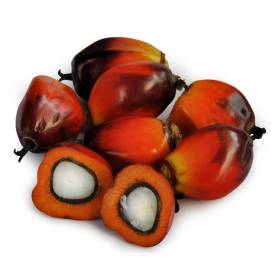 Palm Fruit oil, RBD RSPO MB